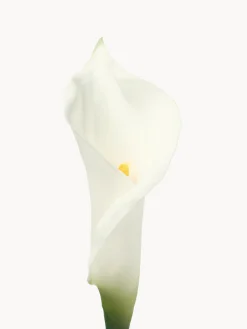 Fiore artificiale Calla Lily