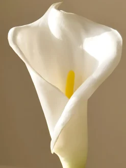 Fiore artificiale Calla Lily