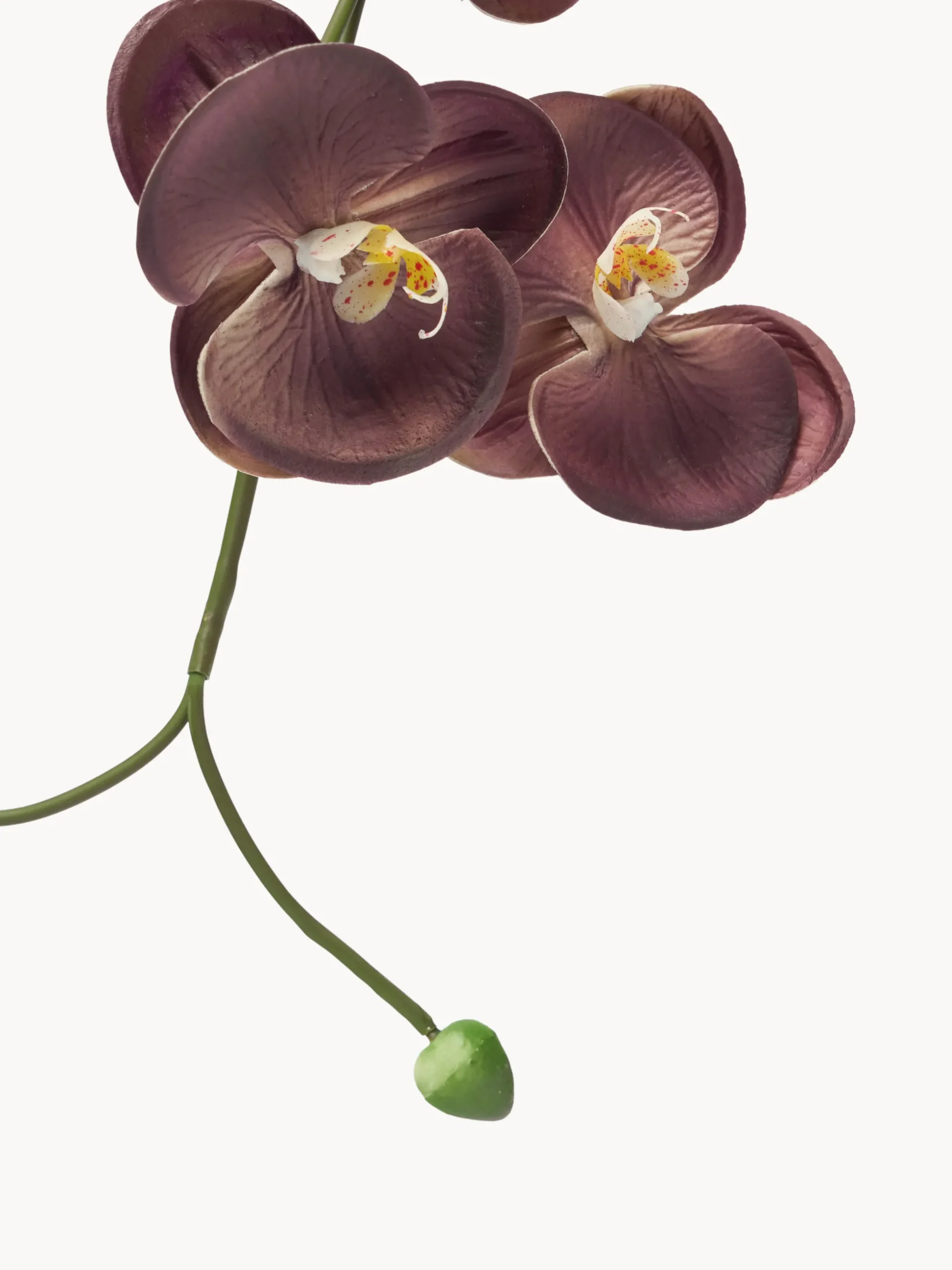Fiore artificiale Grand Orchid