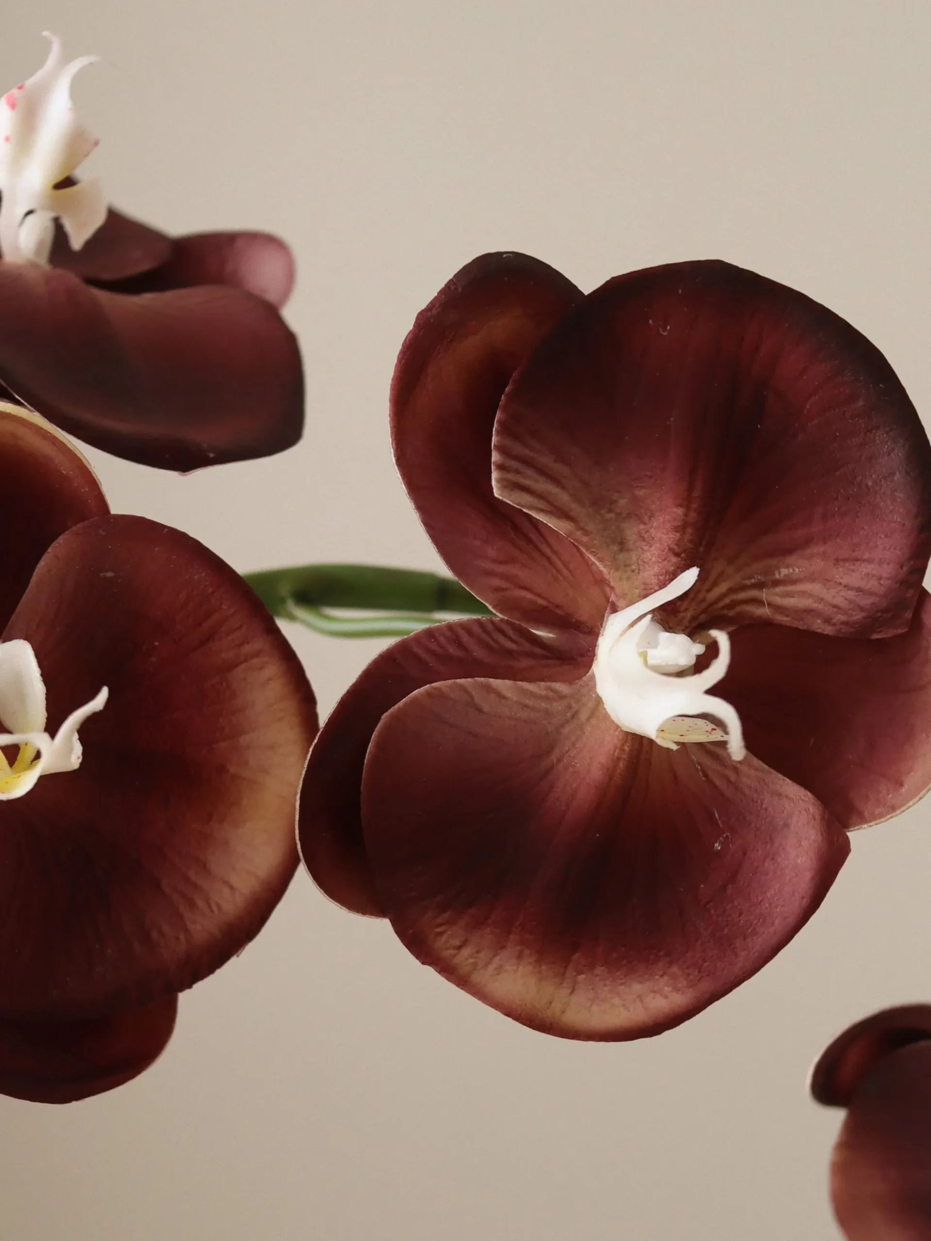 Fiore artificiale Grand Orchid
