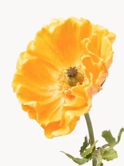 Fiore artificiale Large Poppy