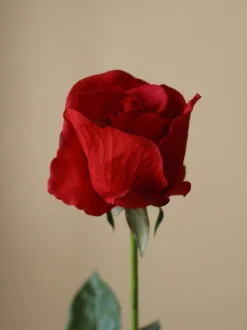 Fiore artificiale Premium Longstem Rose