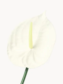 Fiore artificiale Small Anthurium