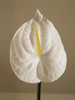 Fiore artificiale Small Anthurium