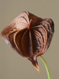 Fiore artificiale Small Anthurium