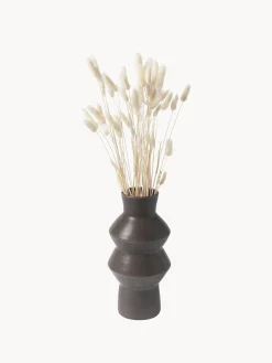 Fiori secchi Lagurus
