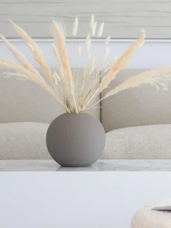 Fiori secchi Pampas