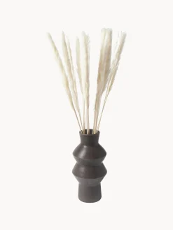 Fiori secchi Pampas
