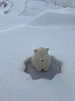 Giocattolo da bagno fatto a mano Ice Protector