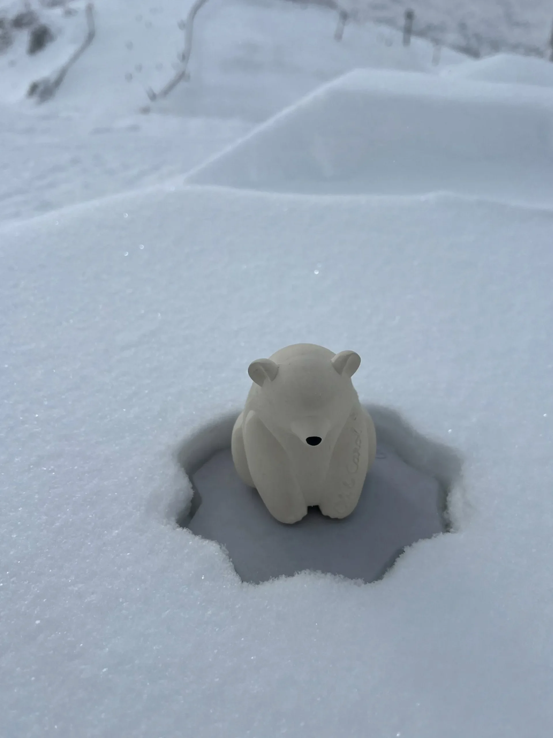 Giocattolo da bagno fatto a mano Ice Protector