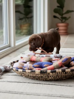 Giocattolo per cani a forma di osso Ashi, varie misure