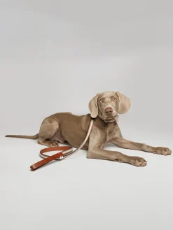 Guinzaglio per cani fatto a mano Baseball