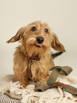 Guinzaglio per cani fatto a mano Etna