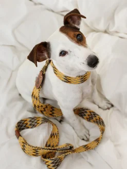Guinzaglio per cani fatto a mano Peruvian