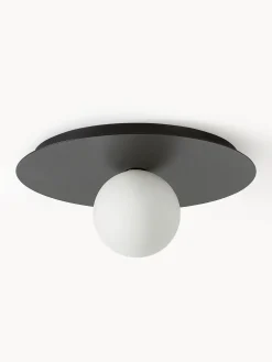 Lampada da parete e soffitto Starling