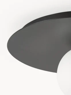 Lampada da parete e soffitto Starling