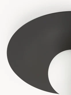 Lampada da parete e soffitto Starling