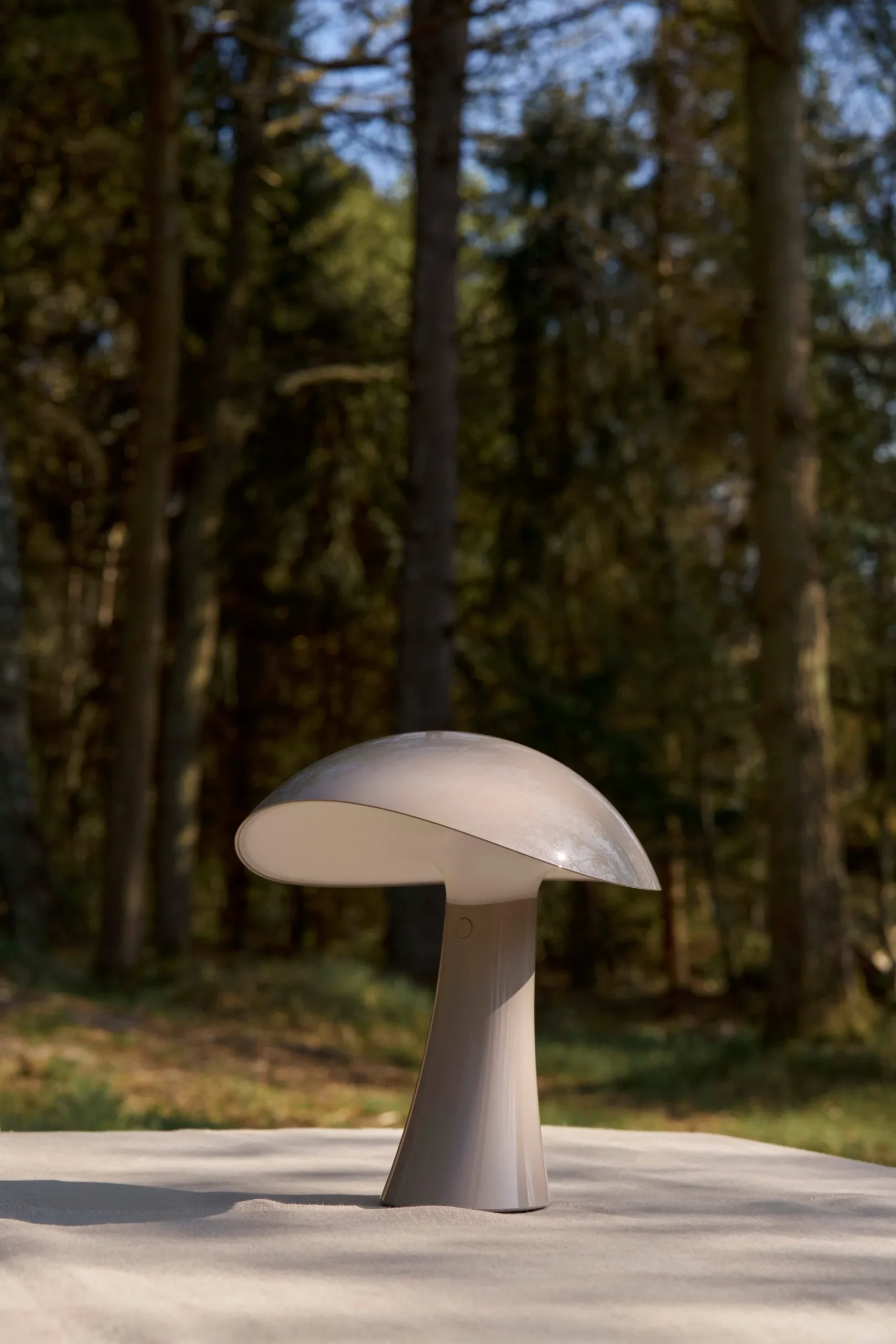 Lampada da tavolo piccola portatile a LED con luce regolabile Rumee 220