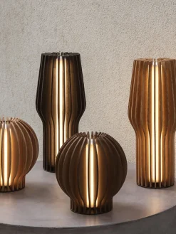 Lampada da tavolo pizzola portatile a LED con luce regolabile Radiant