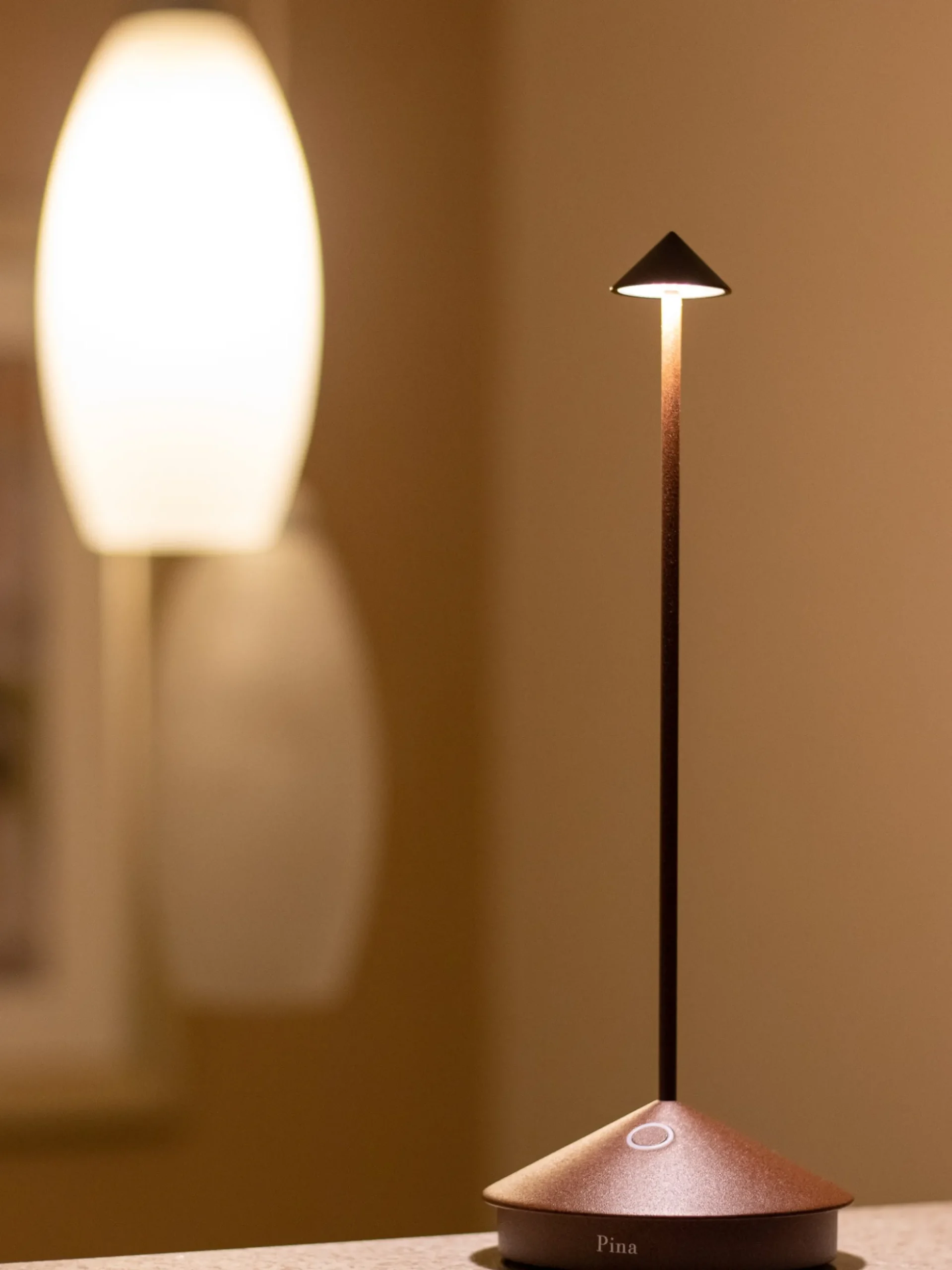 Lampada da tavolo portatile a LED con luce regolabile Pina Pro