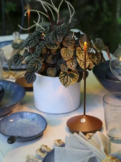 Lampada da tavolo portatile a LED con luce regolabile Pina Pro