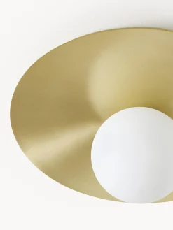 Lampada da parete e soffitto Starling