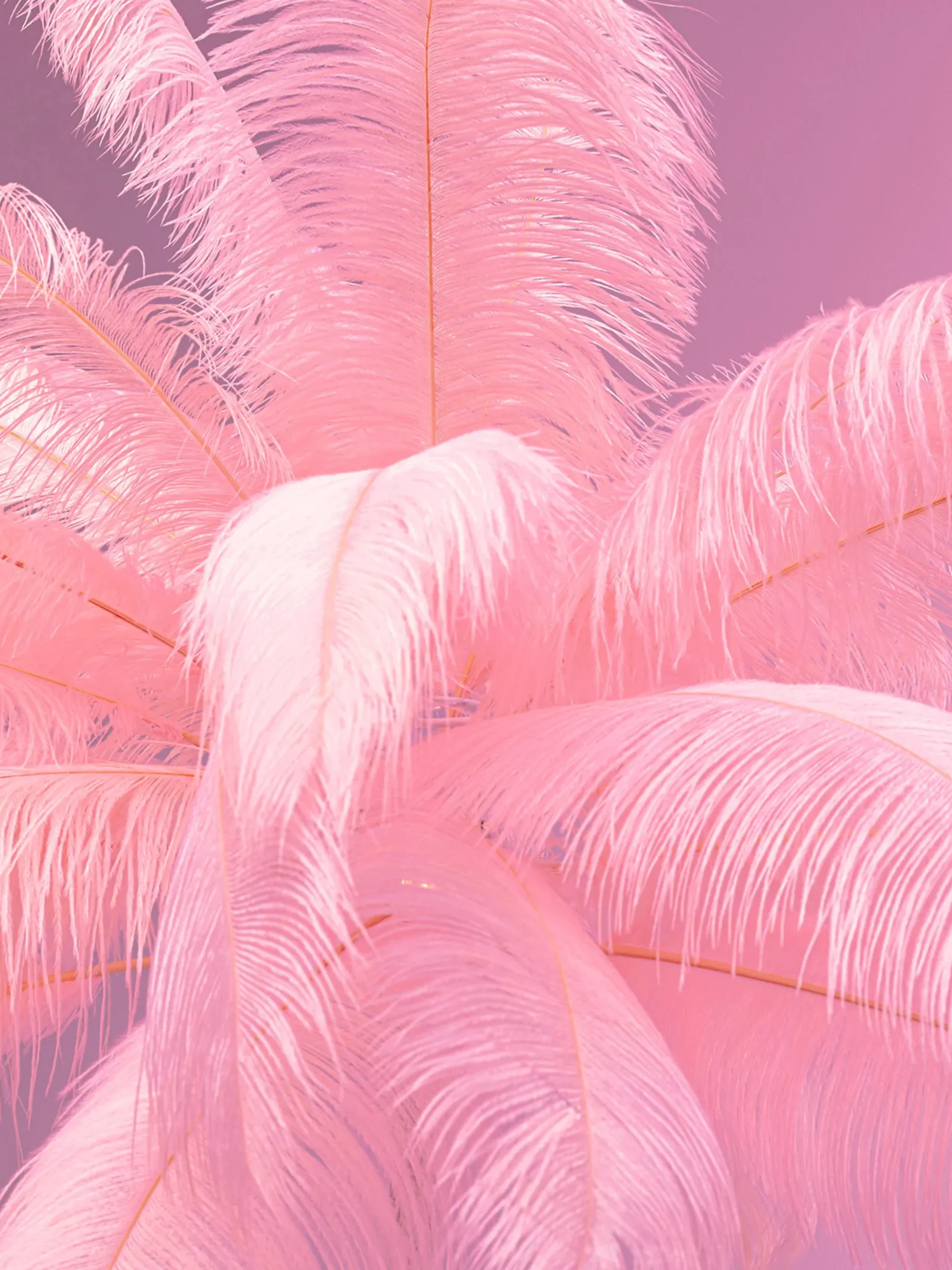 Lampada da terra Feather Palm