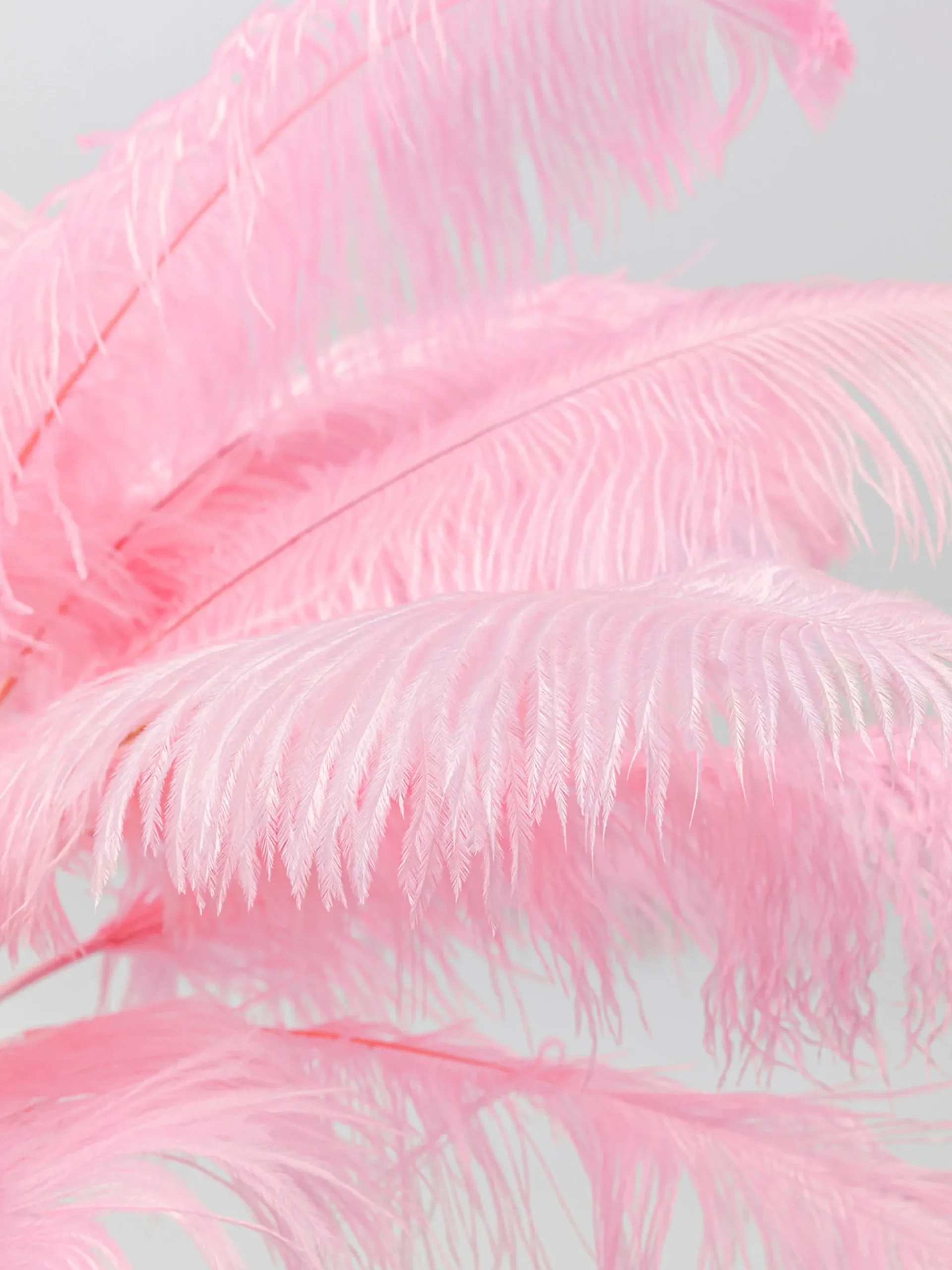 Lampada da terra Feather Palm