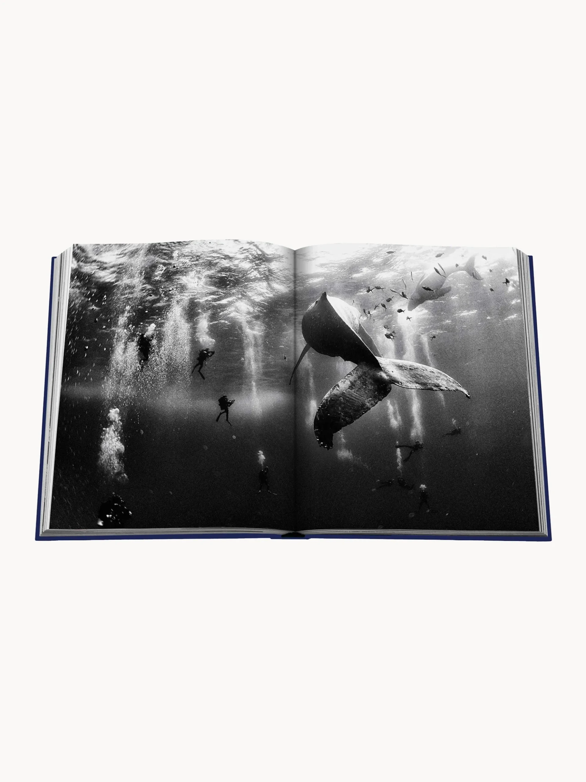 Libro da tavolino Ocean Wanderlust