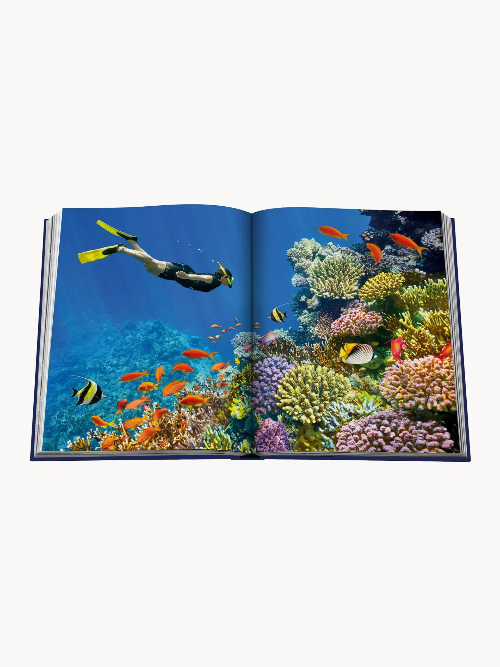 Libro da tavolino Ocean Wanderlust