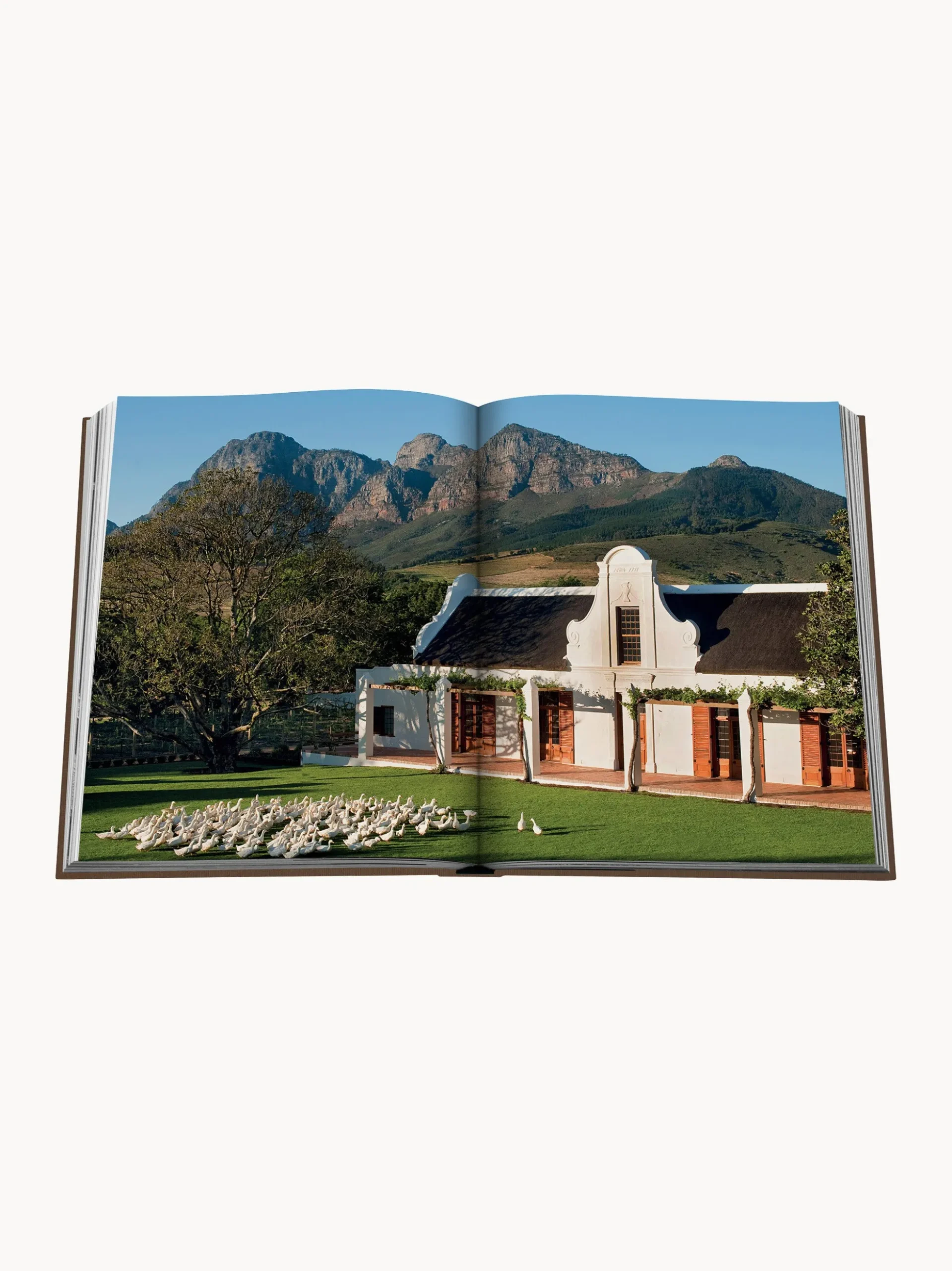 Libro da tavolino Secret Stays