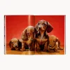 Libro illustrato Dogs. Photographs 1941–1991
