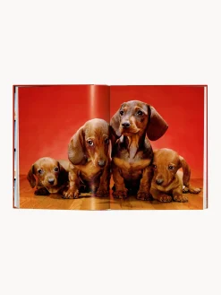 Libro illustrato Dogs. Photographs 1941–1991