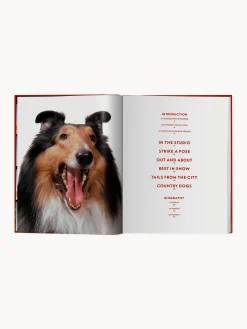 Libro illustrato Dogs. Photographs 1941–1991