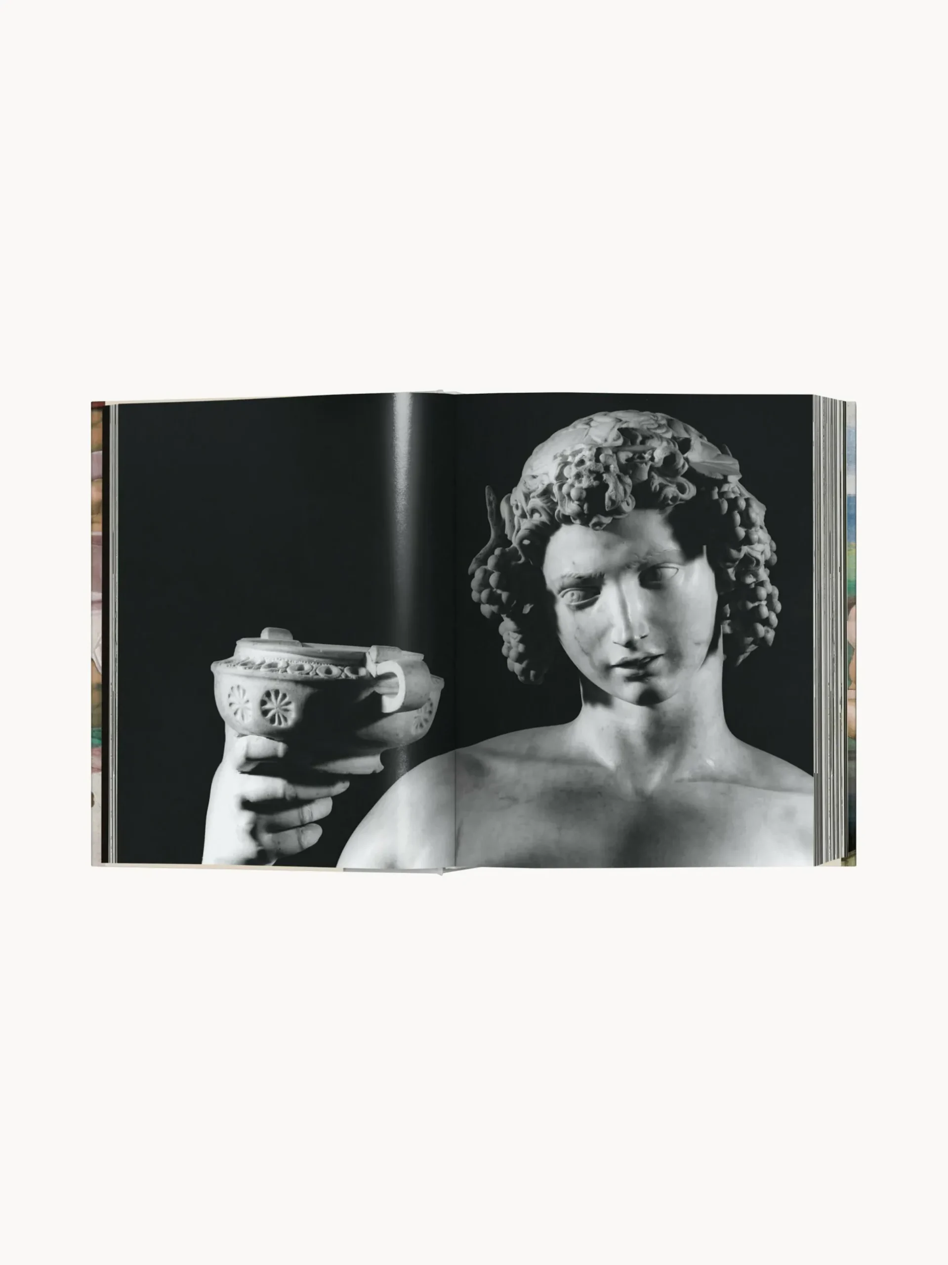 Libro illustrato Michelangelo. Complete Works