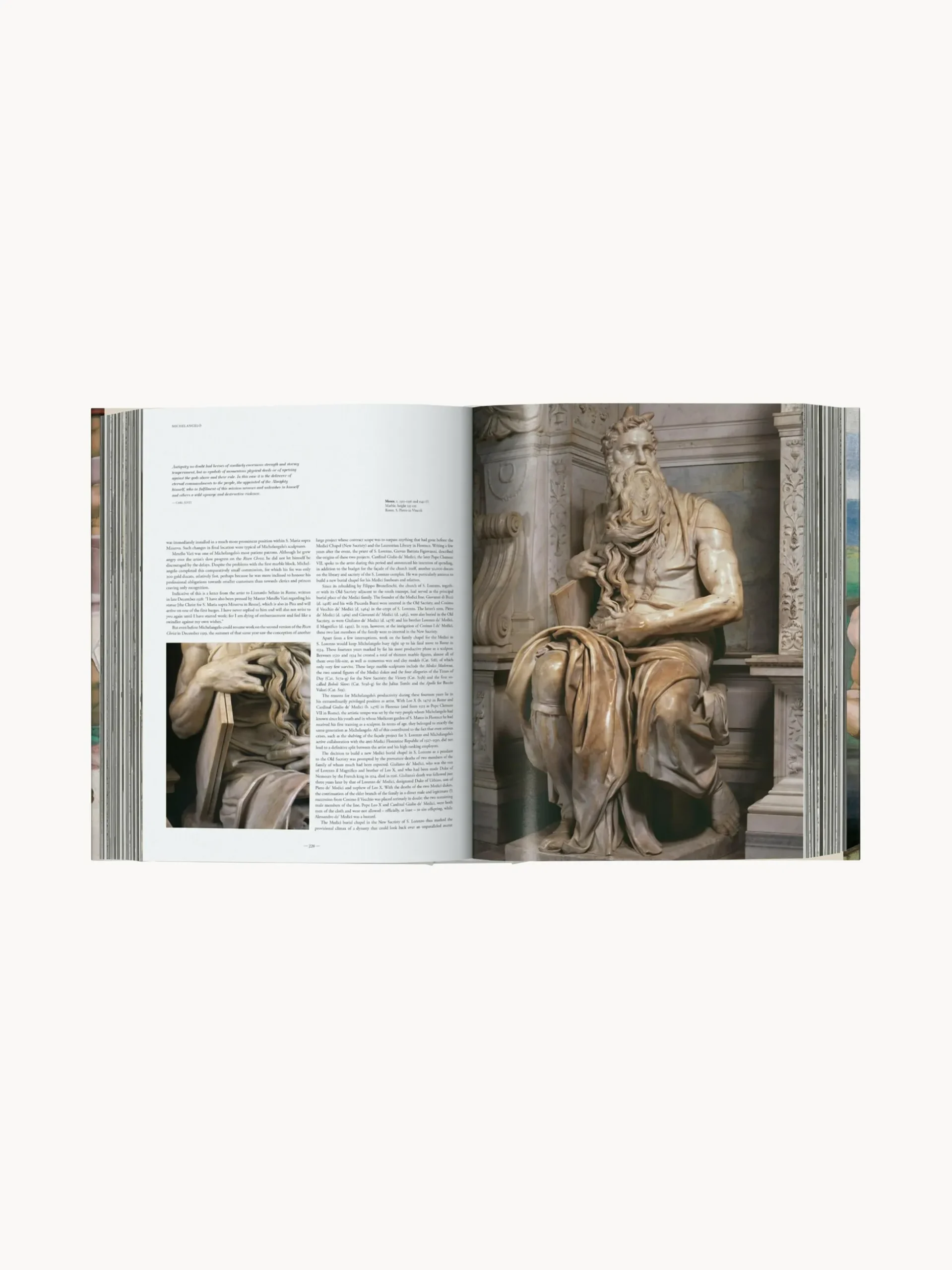 Libro illustrato Michelangelo. Complete Works