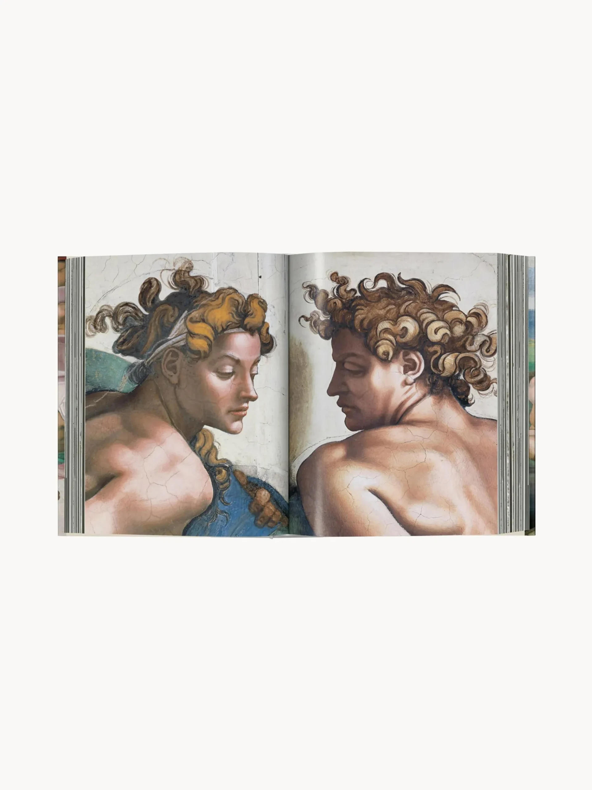 Libro illustrato Michelangelo. Complete Works