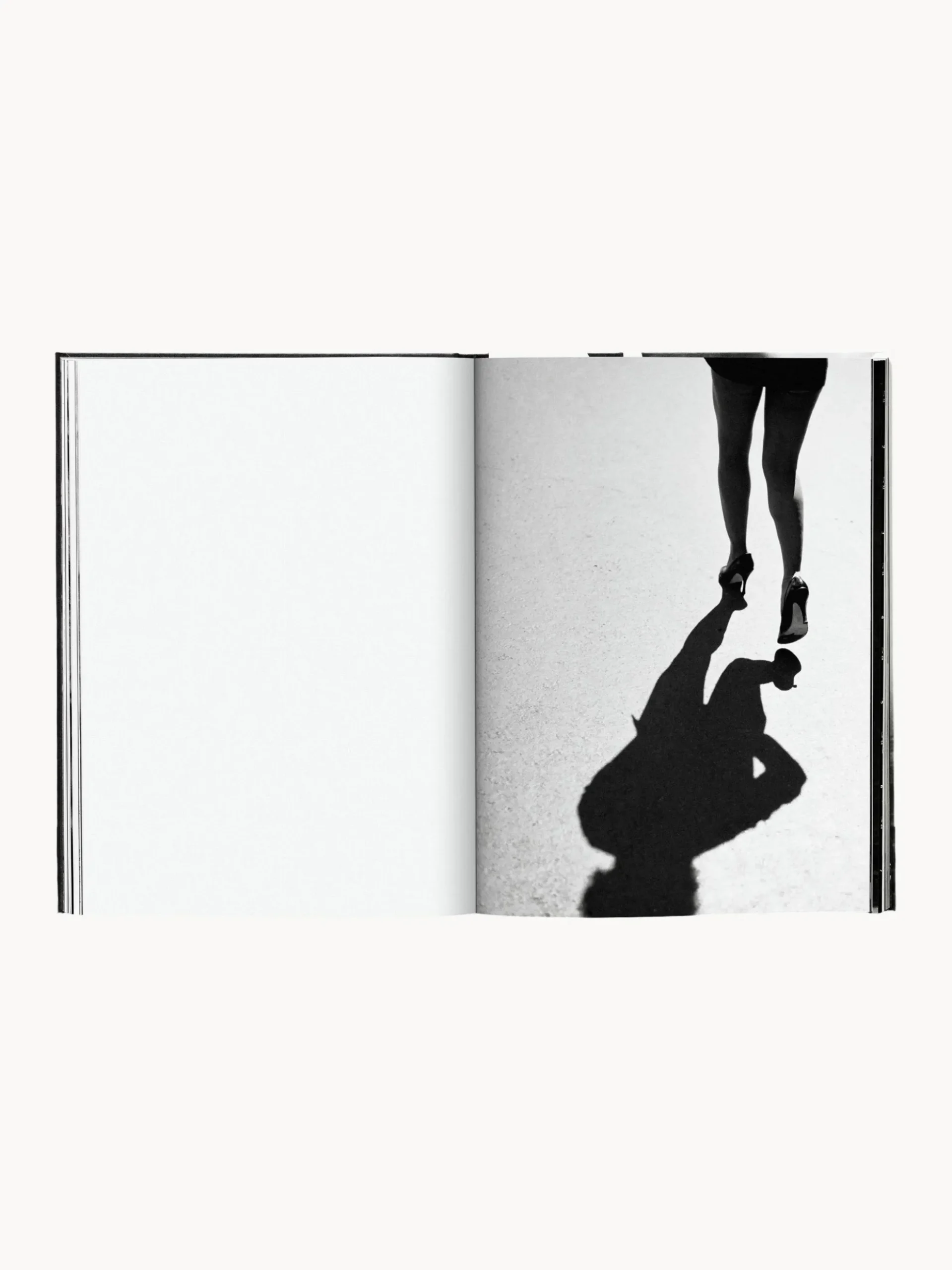 Libro illustrato Tina Turner