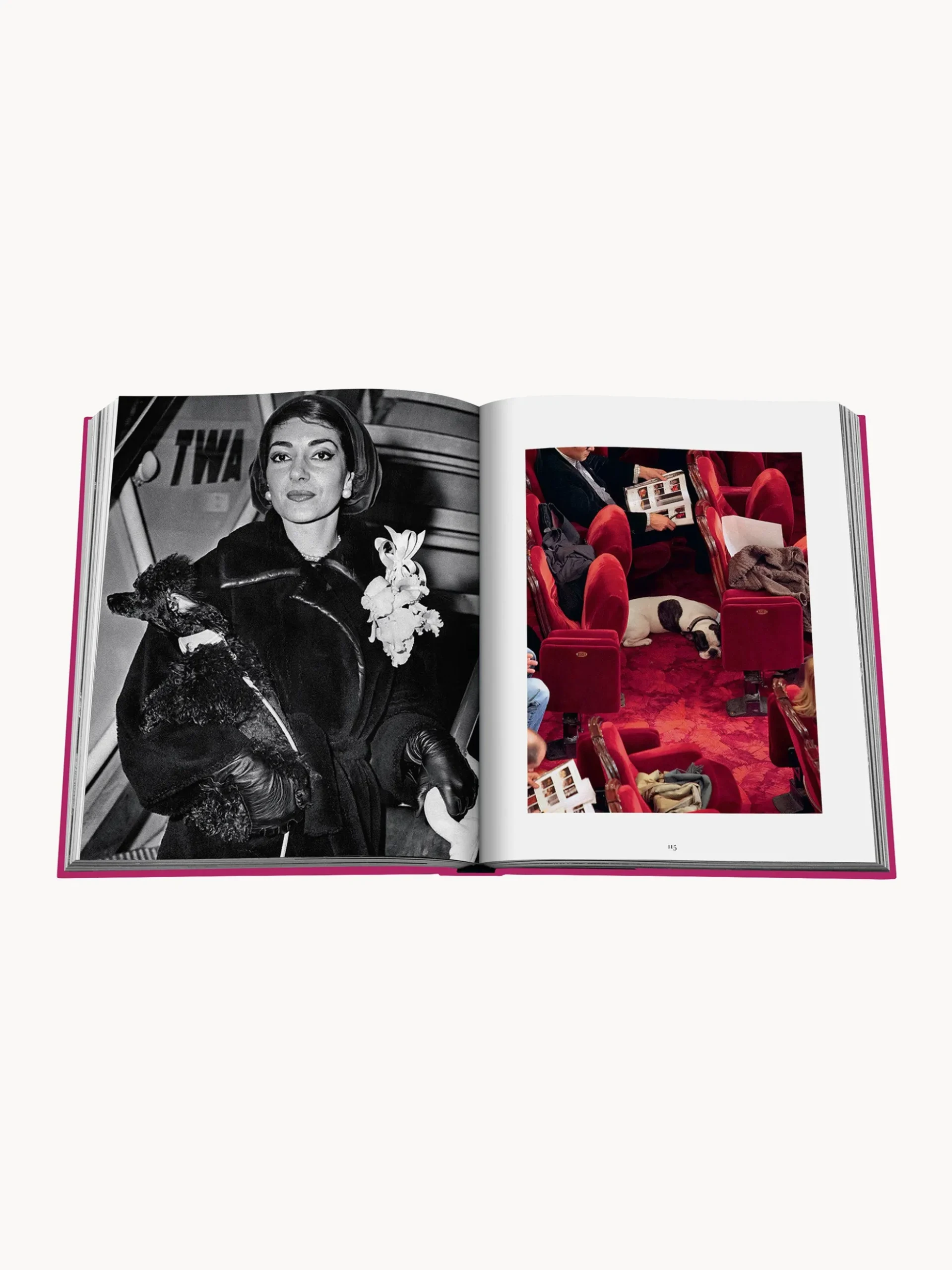 Libro da tavolino Chic Dogs