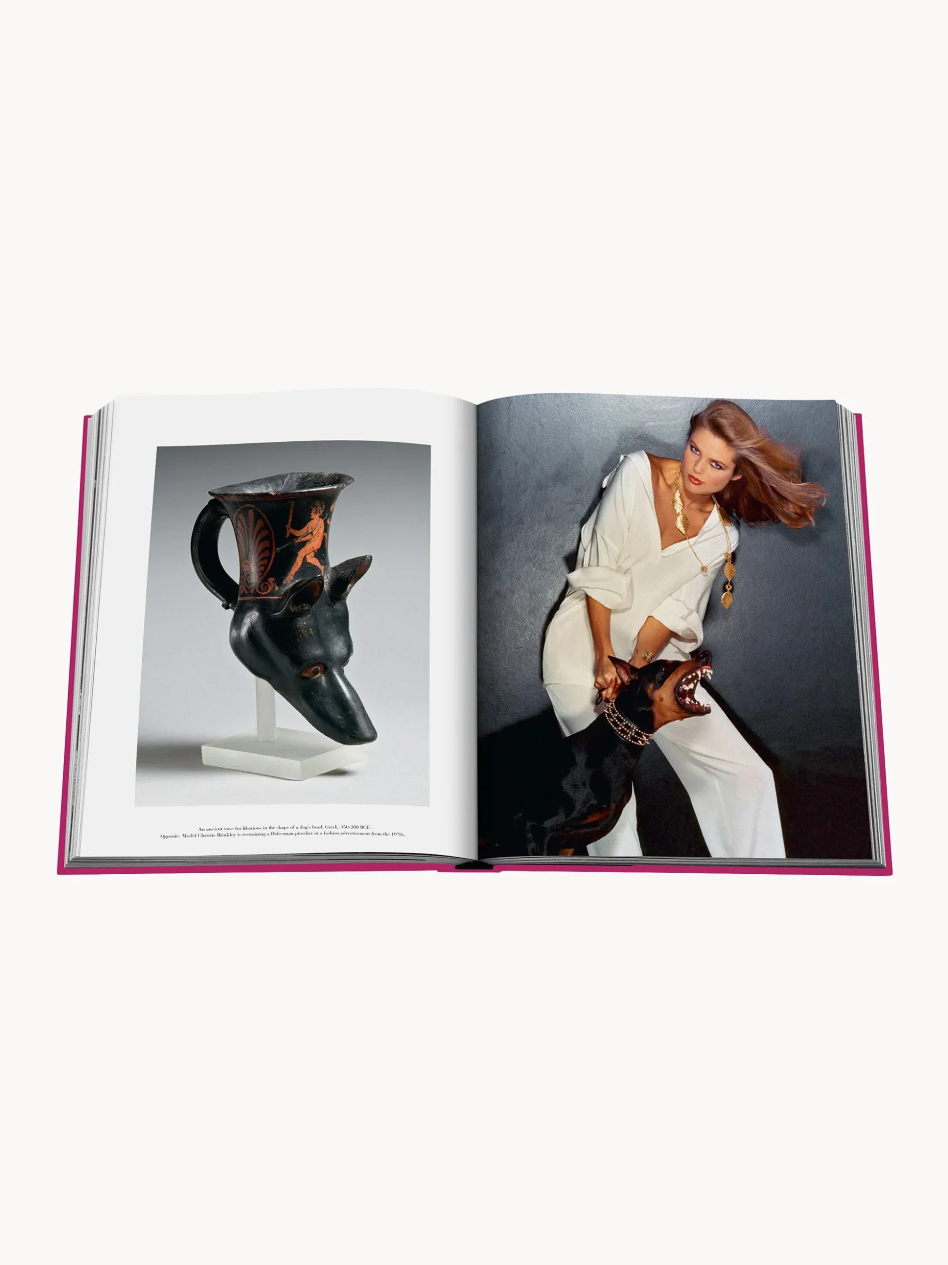 Libro da tavolino Chic Dogs
