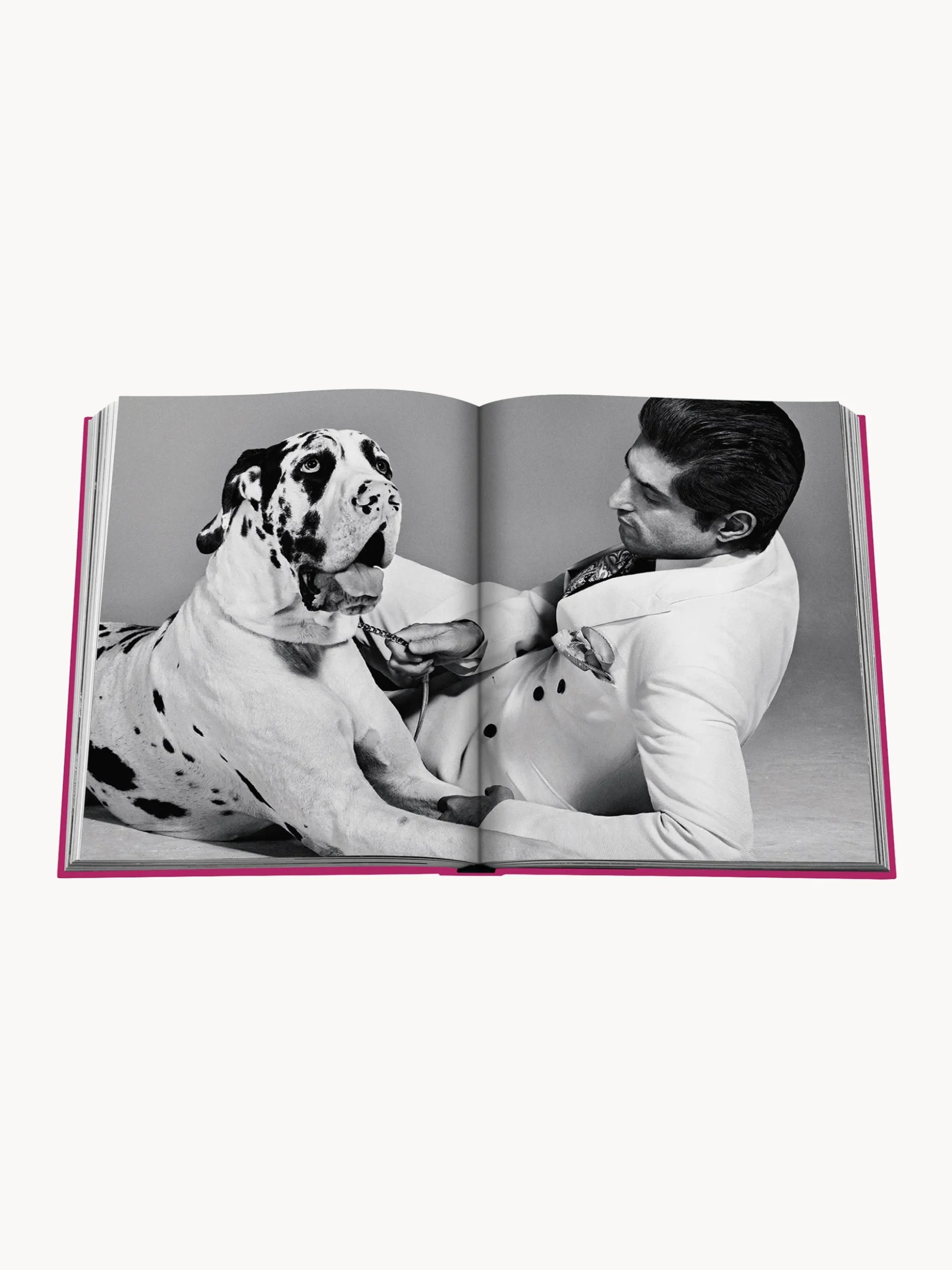 Libro da tavolino Chic Dogs