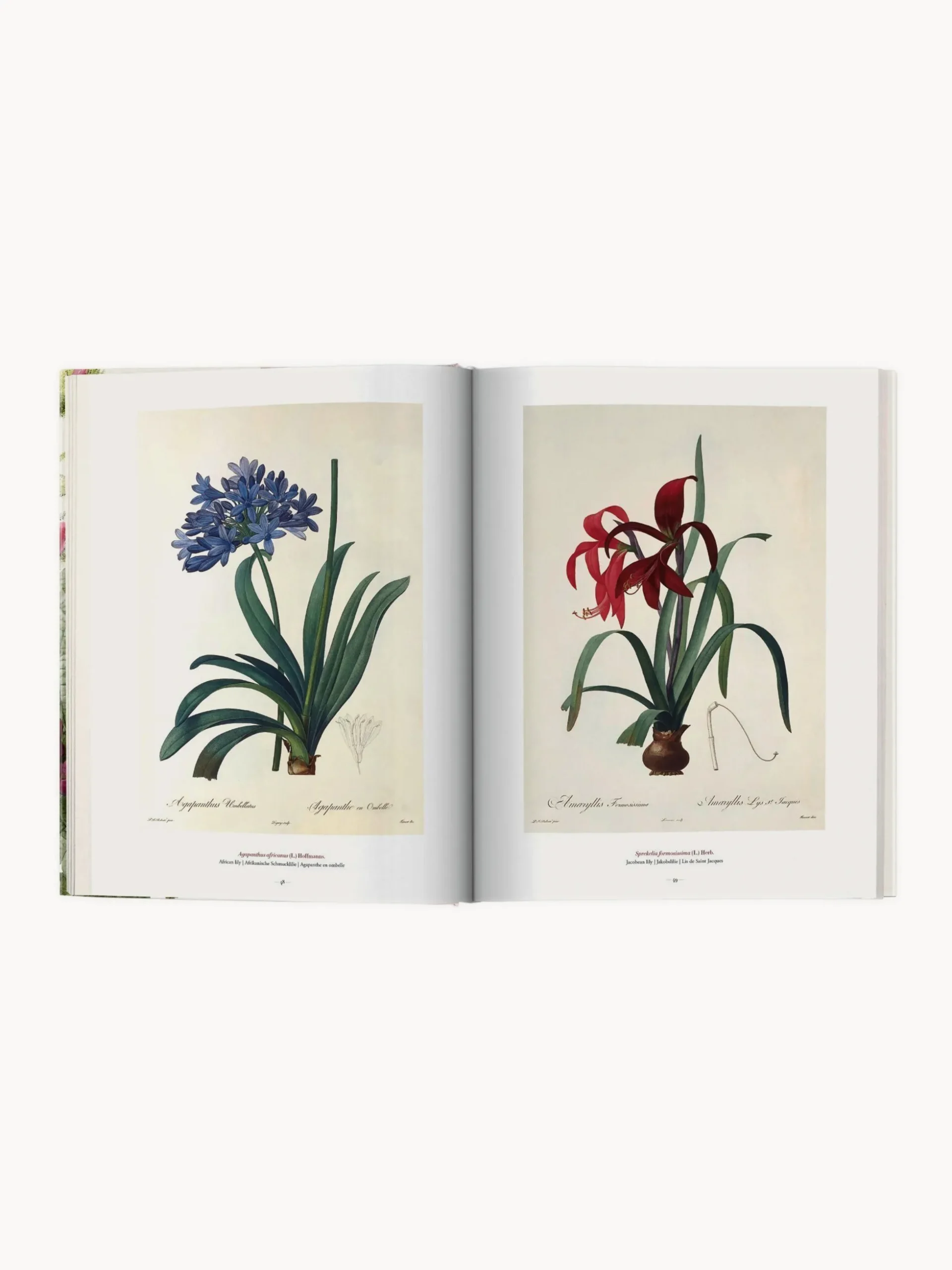 Libro illustrato Book of Flowers