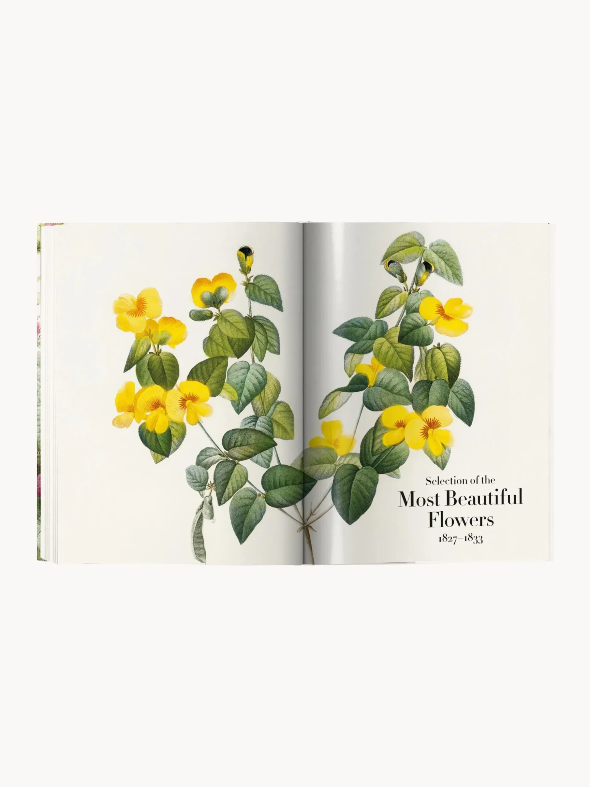 Libro illustrato Book of Flowers