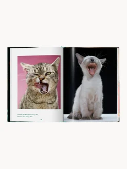 Libro illustrato Cats. Photographs 1942–2018