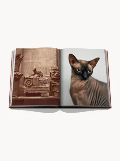 Libro illustrato Chic Cats