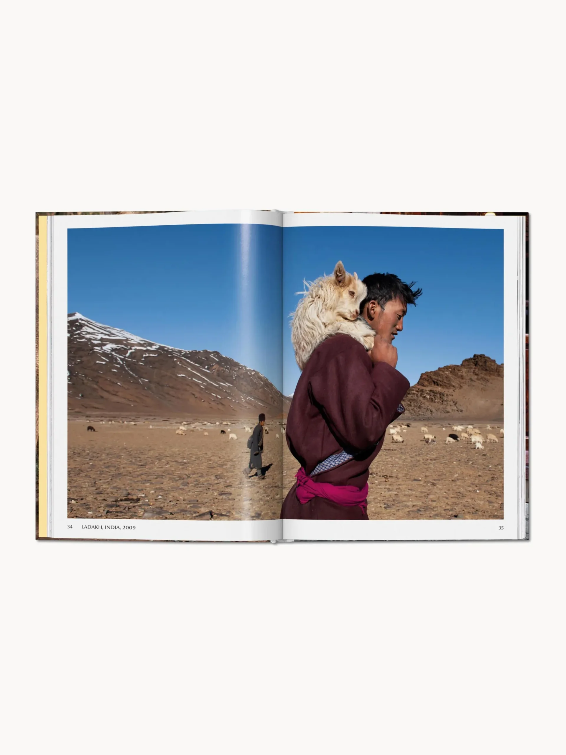 Libro illustrato Steve McCurry. Animals