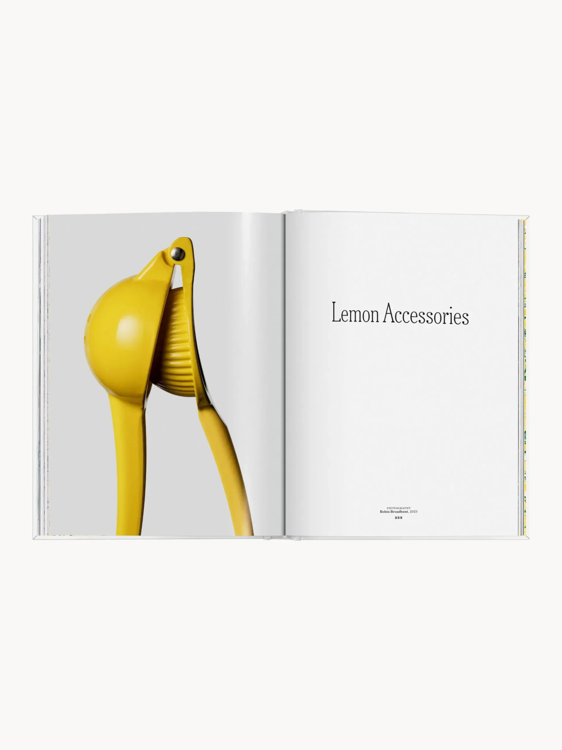 Libro illustrato The Gourmand's Lemon. A Collection of Stories and Recipes