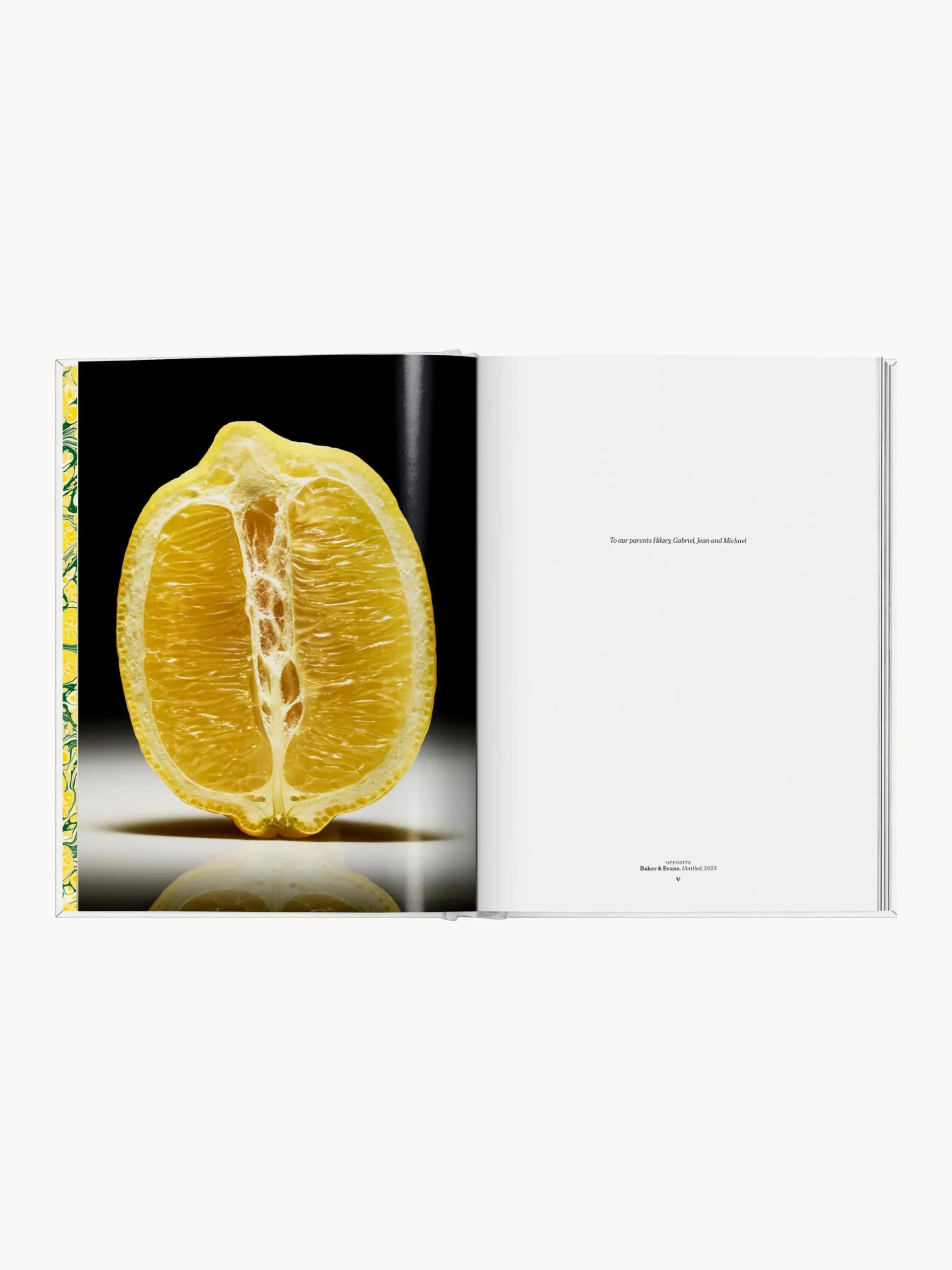 Libro illustrato The Gourmand's Lemon. A Collection of Stories and Recipes