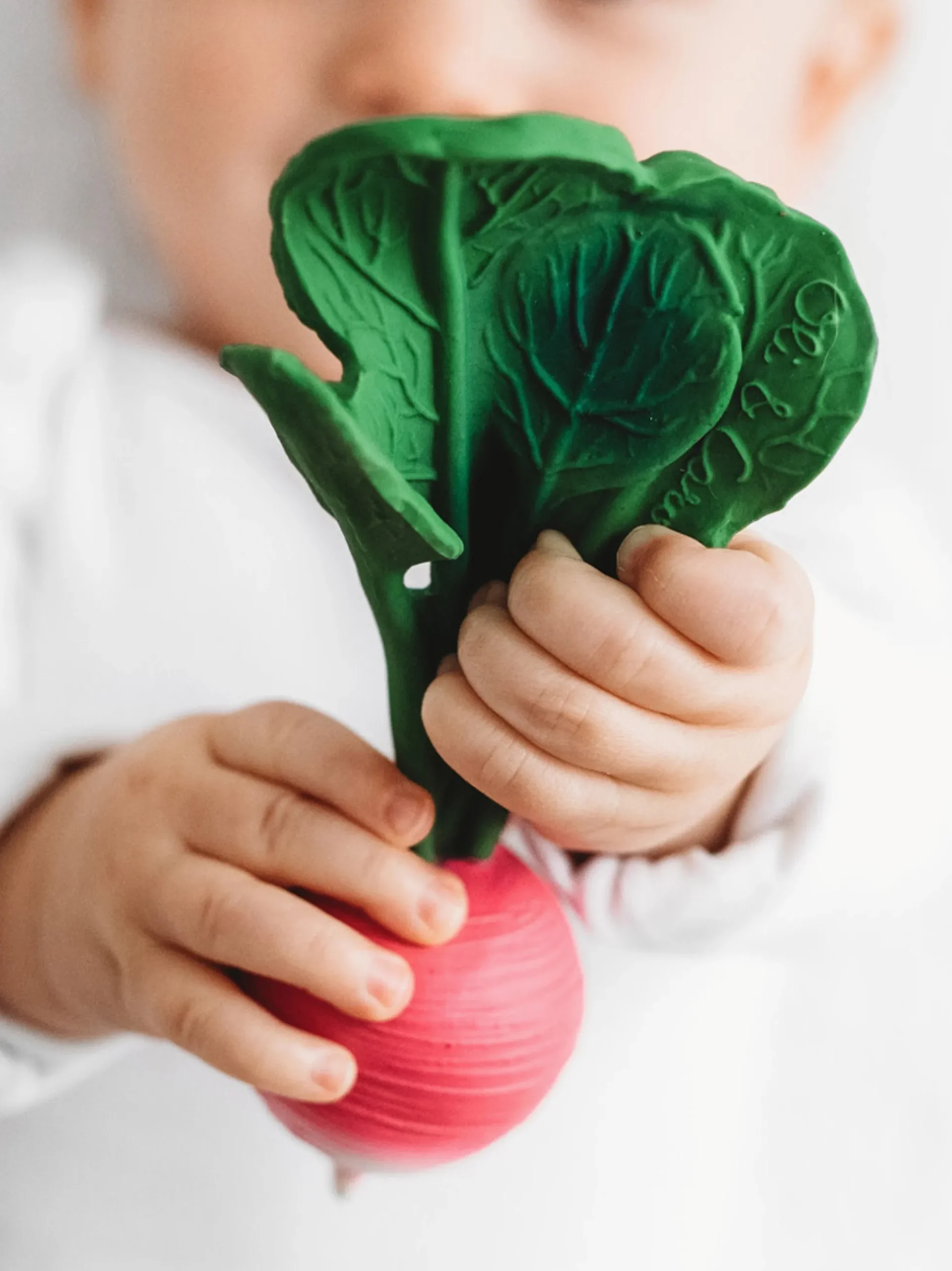 Massaggiagengive per bambini fatto a mano Fruits & Veggies