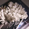 Oggetto decorativo di design Coral